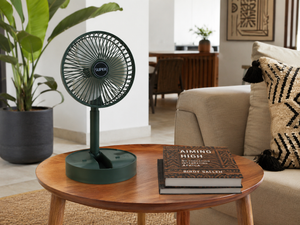 Portable Fan