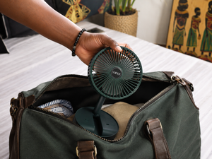 Portable Fan